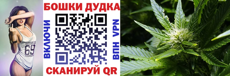Канабис семена купить наркотики цена Лихославль